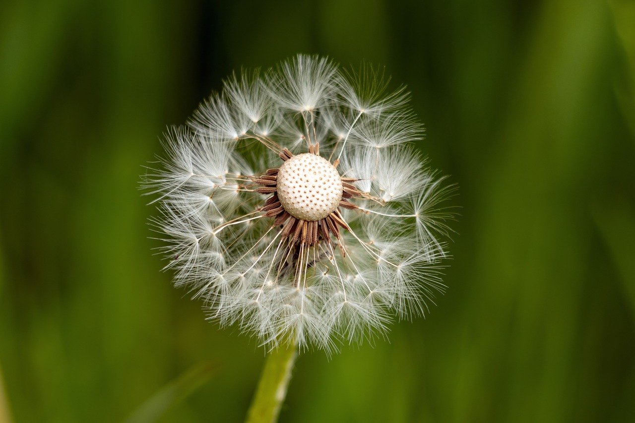 DON’T LOSE HOPE – JUNE 2024
