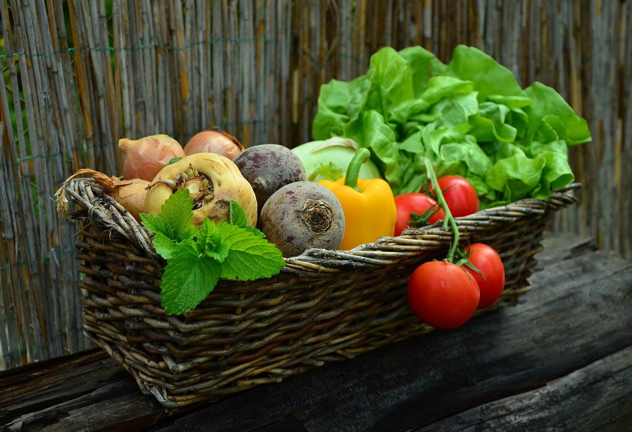 YOUR HARVEST’S OFFERING – NOVEMBER 2022 NEWSLETTER