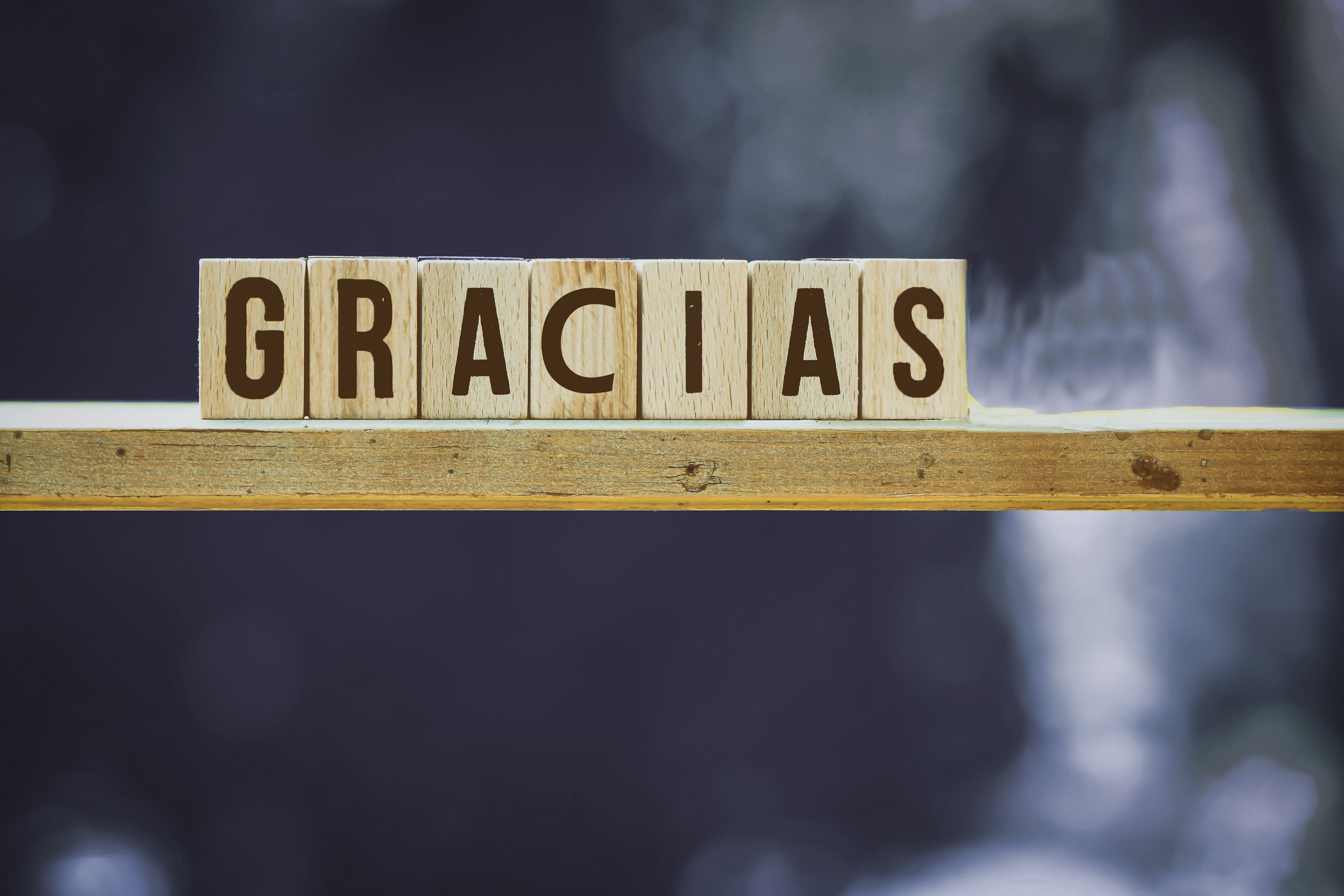 GRATITUDE FUELS VICTORY - June 2026 Article